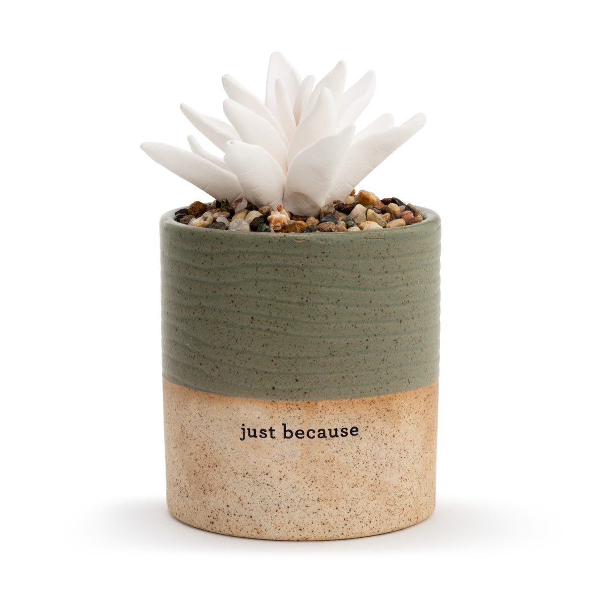 Succulent Oil Diffuser - Just Because