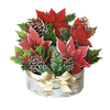 Birch Poinsettia FreshCut Paper Bouquet