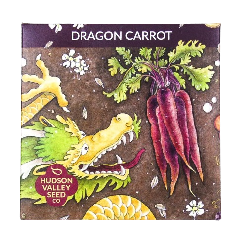 Dragon Carrot Seeds Art Pack