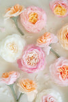 Bathing Petal Flower Soap - Elenora