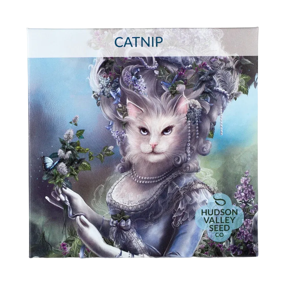 Catnip Seeds Art Pack