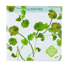 Cilantro Seeds Art Pack