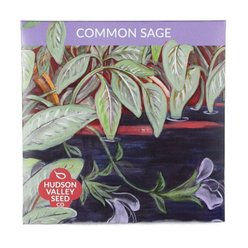 Common Sage Seeds Art Pack