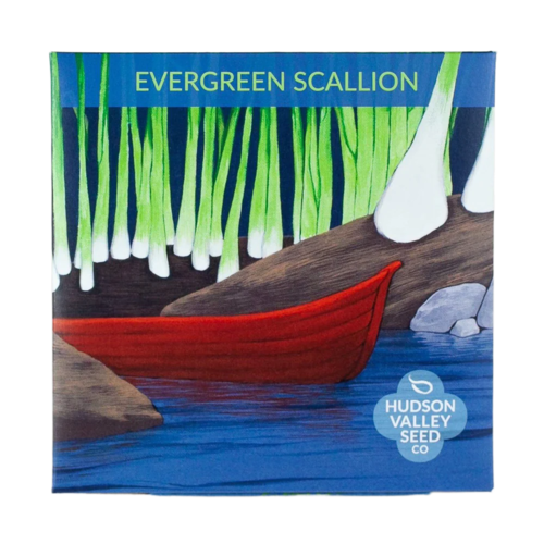 Evergreen Scallion Seeds Art Pack