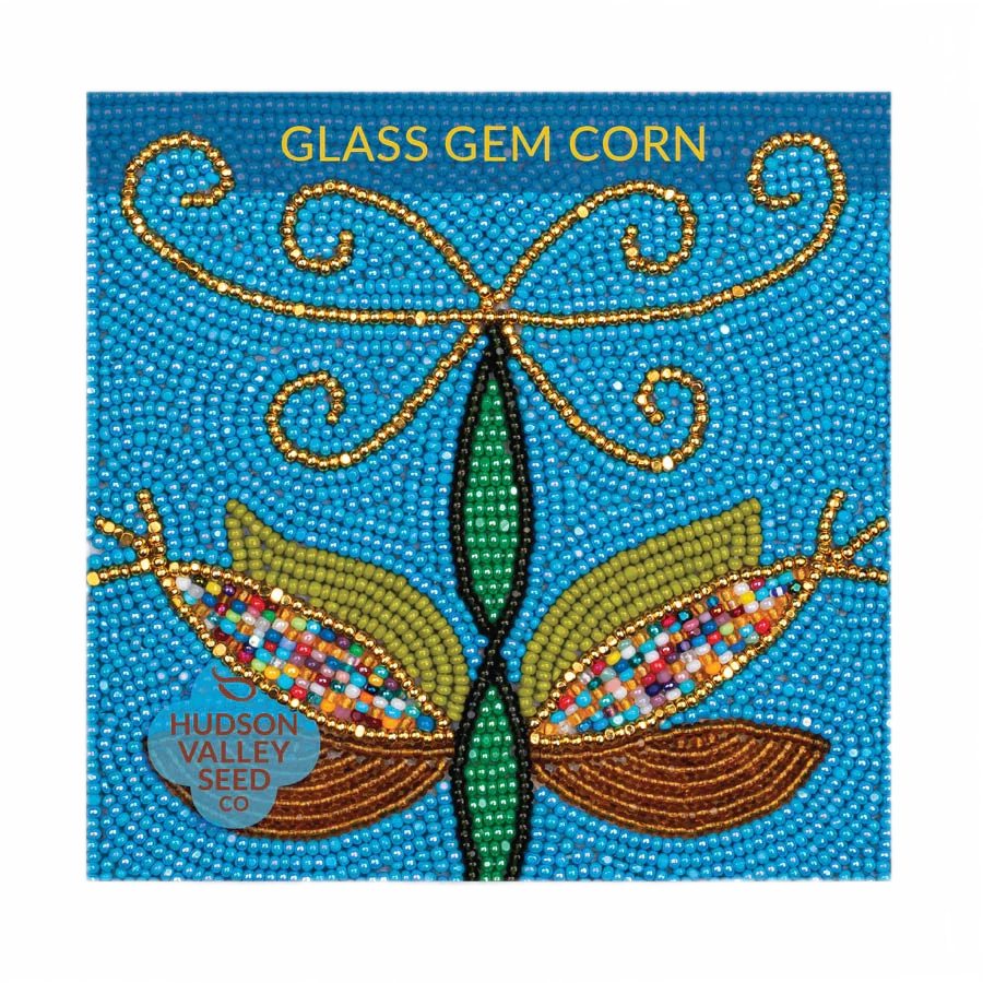 Glass Gem Corn Seeds Art Pack