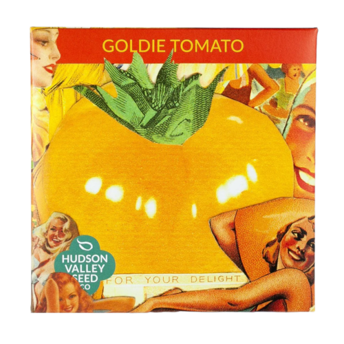 Goldie Tomato Seeds Art Pack