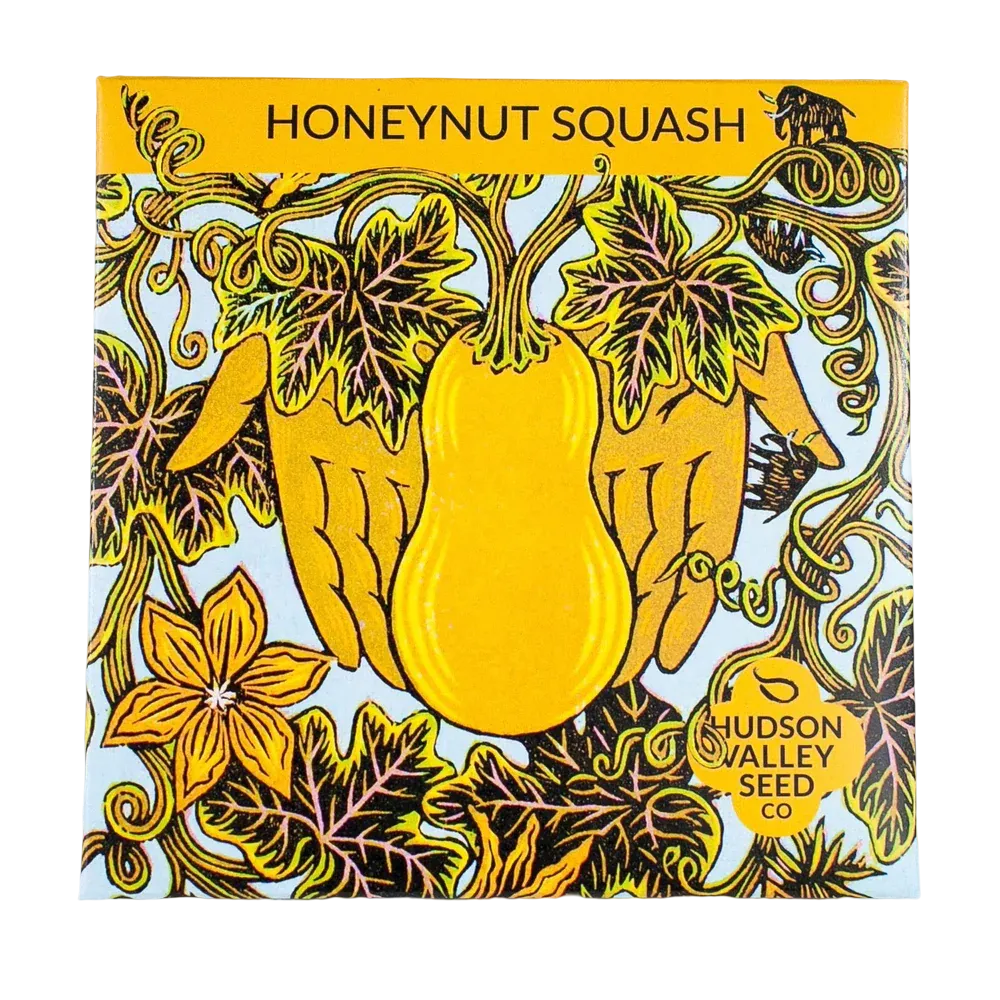 Honeynut Squash Seeds Art Pack