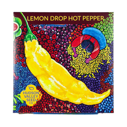 Lemon Drop Hot Pepper Seeds Art Pack