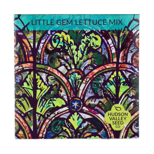 Little Gem Lettuce Mix Seeds Art Pack