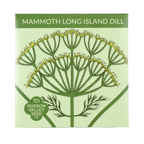 Mammoth Long Island Dill Seeds Art Pack
