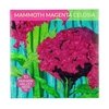 Mammoth Magenta Celosia Seeds Art Pack
