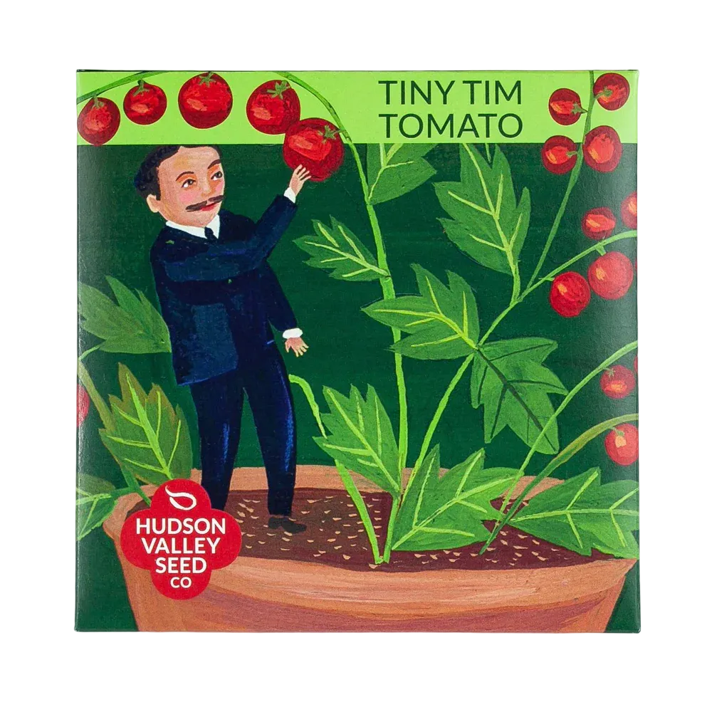 Tiny Tim Tomato Seeds Art Pack