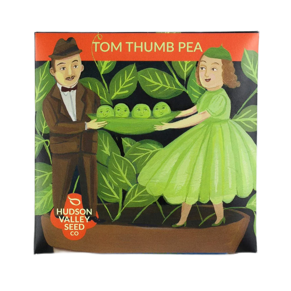 Tom Thumb Pea Seeds Art Pack