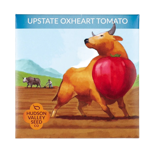 Upstate Oxheart Tomato Seeds Art Pack