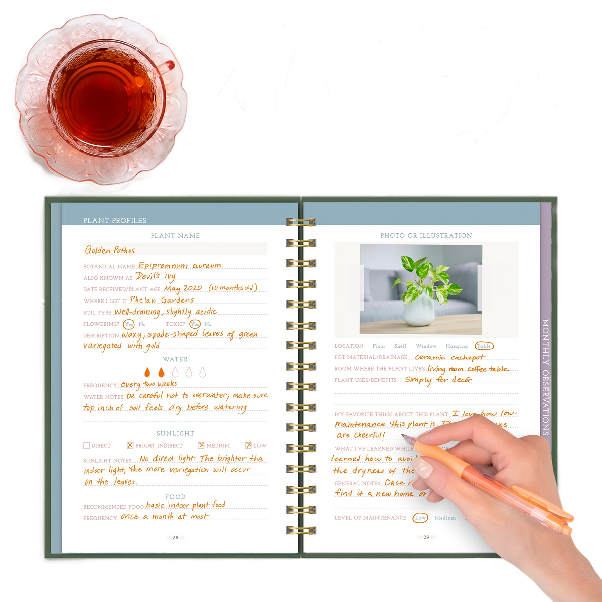 Green Vibes Only Guided Journal
