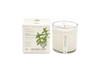 Plant The Box Candle - Crushed Mint