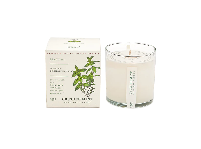 Plant The Box Candle - Crushed Mint