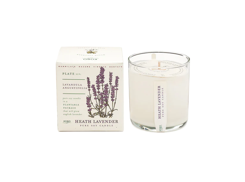 Plant The Box Candle - Heath Lavender