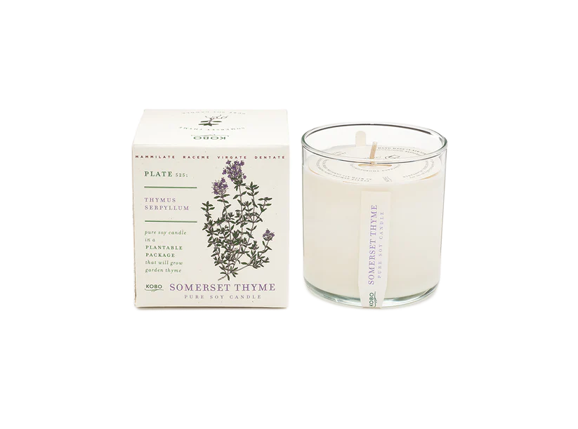 Plant The Box Candle - Somerset Thyme