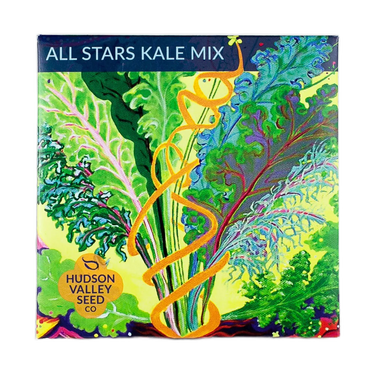 All Stars Kale Mix Seeds Art Pack Hudson Valley Seed Library Garden/Outdoors