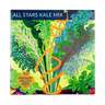 All Stars Kale Mix Seeds Art Pack Hudson Valley Seed Library Garden/Outdoors