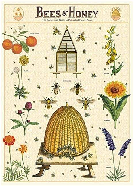Bees & Honey Art Paper Cavallini Papers Wall Decor