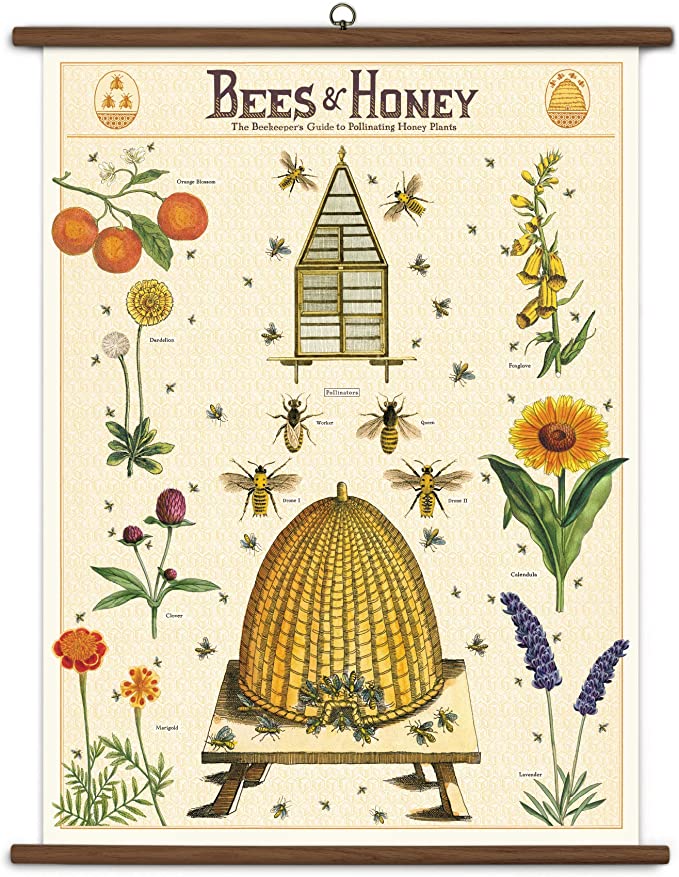 Bees &amp; Honey Vintage School Chart