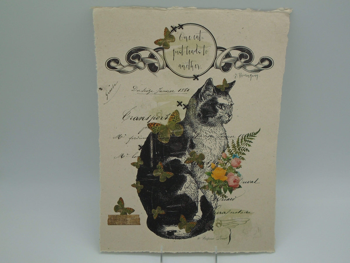One Cat Leads To Another - Land of Elsewhere Paper Print In The Land Of Elsewhere Wall Decor