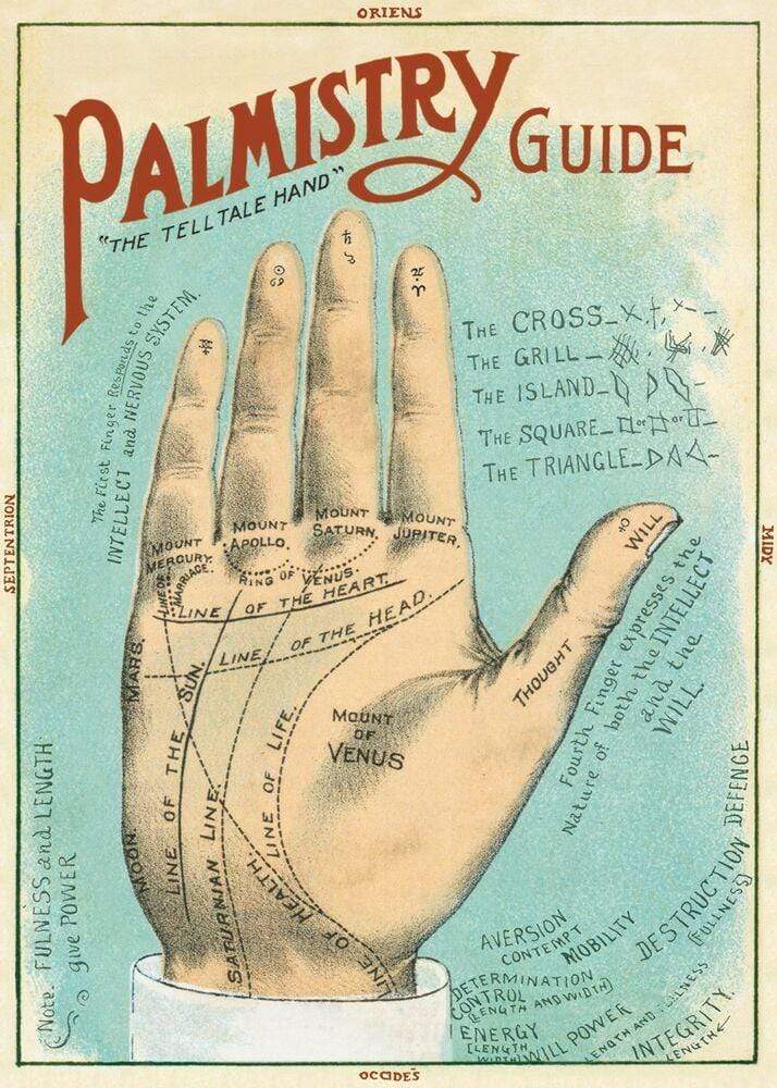 Palmistry Art Paper Cavallini Papers Wall Decor