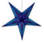 Pisces Hanging Star Lantern Whirled Planet Home Decor