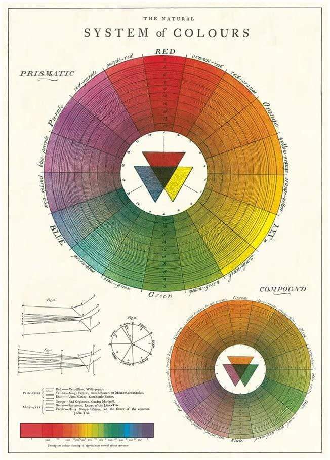 System of Colours  Art Paper Cavallini Papers Wall Decor