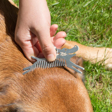 Tick Tool Kikkerland Designs Pet